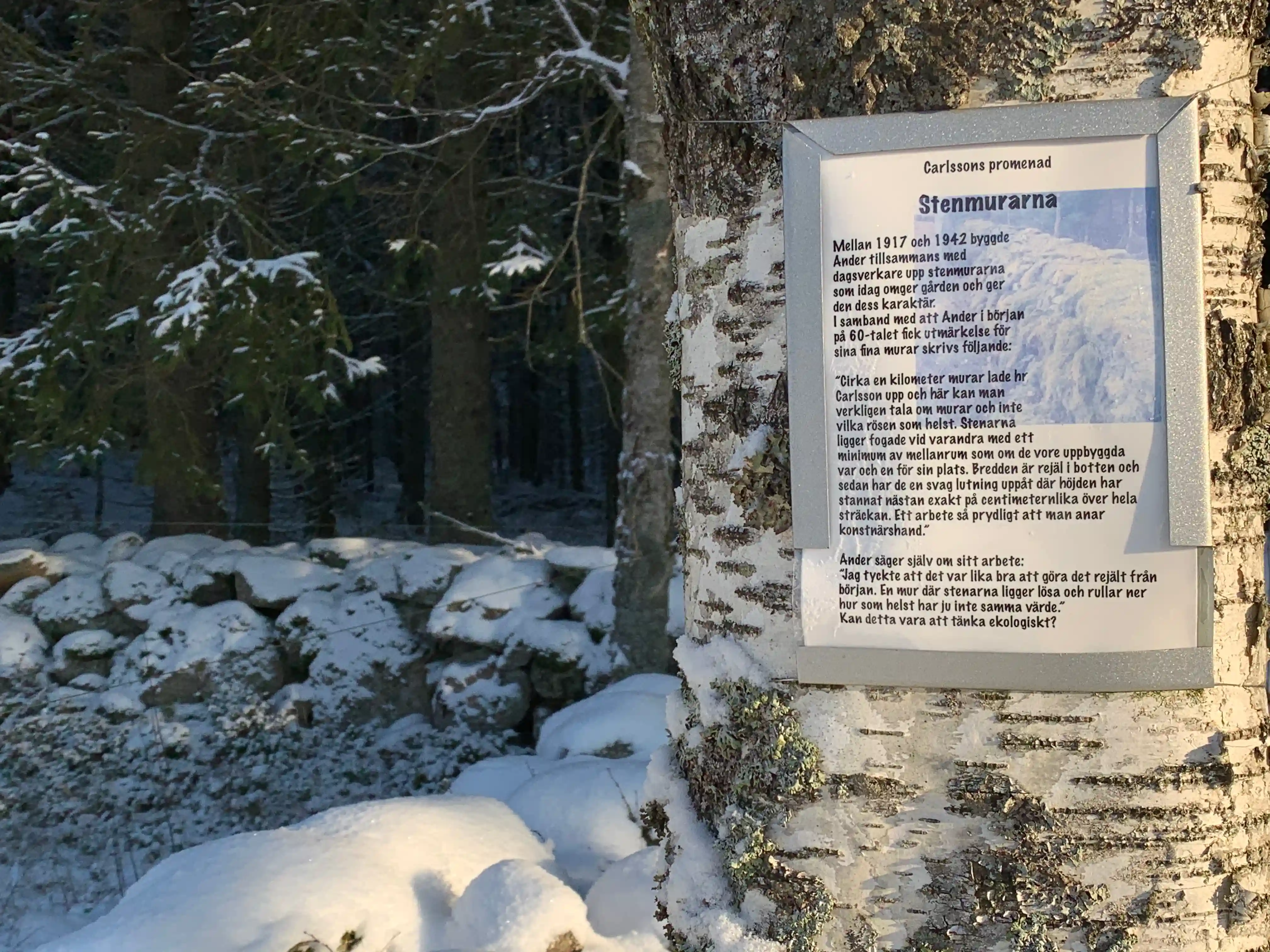 Carlssons Promenad